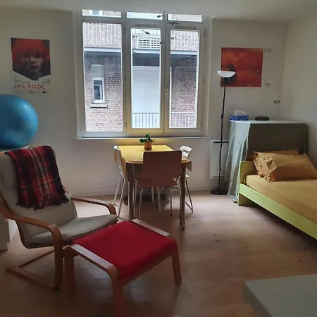 Flat Sainte Anne Apartment Lille